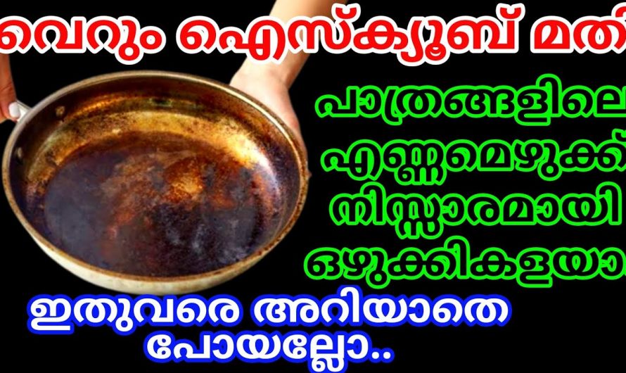 ഇതൊരു 5 എണ്ണം മതി പാത്രങ്ങളിലെ എണ്ണമെഴുക്ക് പെട്ടെന്ന് നീക്കാo. ഇത് നിങ്ങളെ ശരിക്കും ഞെട്ടിക്കും…| How to clean kadai