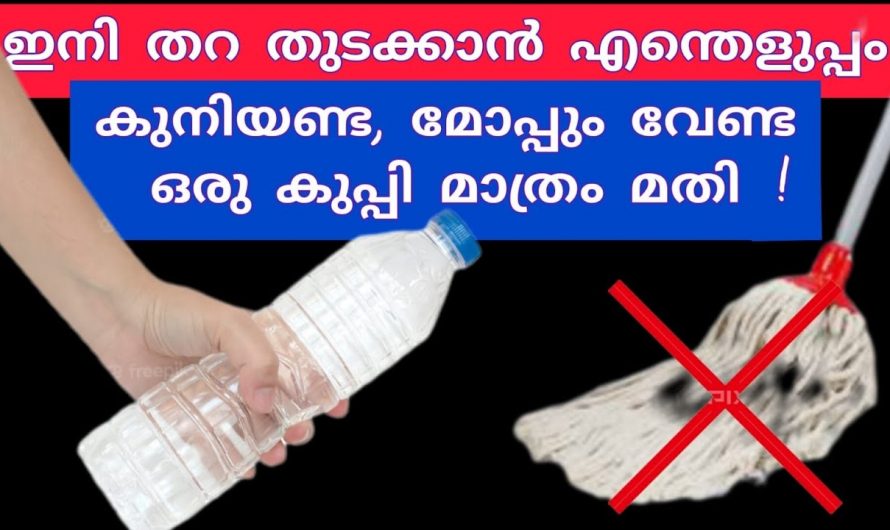 വെറുതെ കളയുന്ന കുപ്പിയിൽ രണ്ട് ഹോൾ ഇട്ടു കൊടുക്കു അപ്പോൾ കാണാം മാജിക്. ഇത് നിങ്ങളെ ഞെട്ടിക്കും