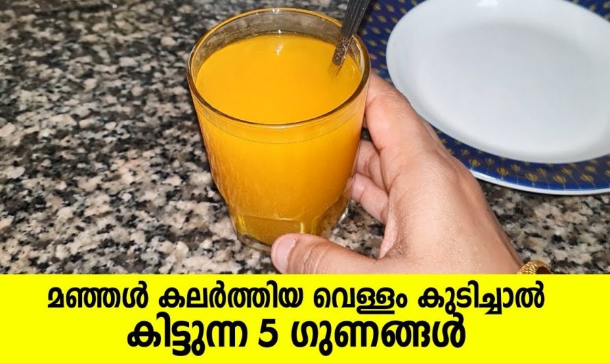 കൊഴുപ്പിനെ ഉരുക്കി കളഞ്ഞ് ശരീരഭാരം കുറയ്ക്കാൻ ഇത് കുടിക്കൂ. ഇതിന്റെ ഗുണങ്ങൾ കേട്ടാൽ ഞെട്ടിത്തരിക്കും…| 5 benefits of turmeric water