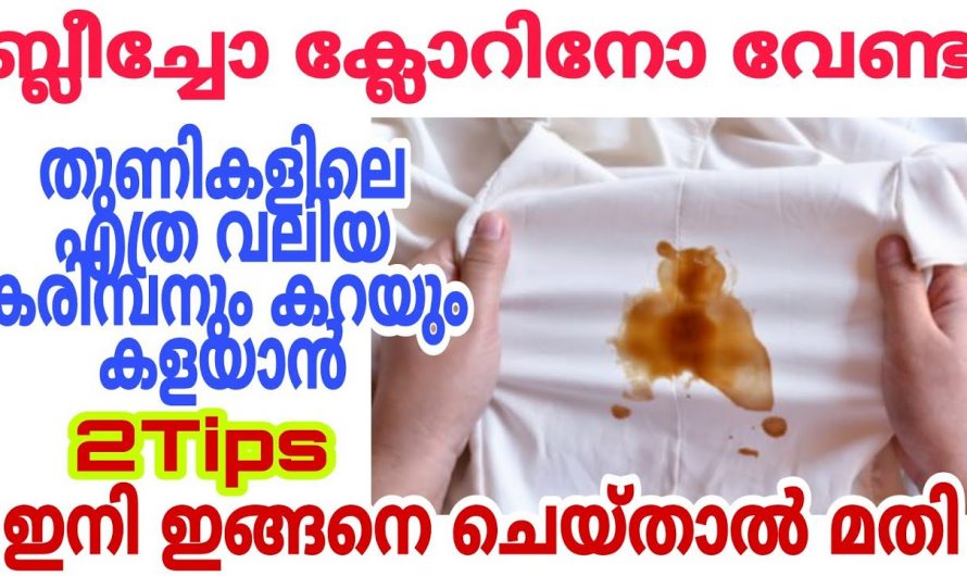 കറയും കരിമ്പനും തുണികളിൽ നിന്ന് വാനിഷാകാൻ ഇങ്ങനെ ചെയ്യതാൽ മതി. ഇത് നിങ്ങളെ ഞെട്ടിക്കും.