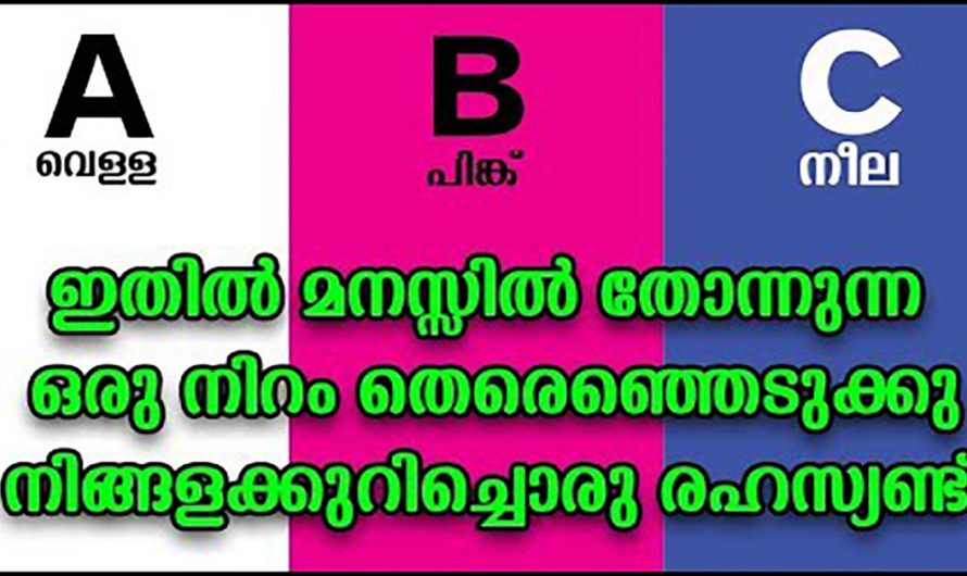 മൂന്നു നിറങ്ങളിൽ ഒരെണ്ണം തിരഞ്ഞെടുക്കൂ ഒളിഞ്ഞിരിക്കുന്ന രഹസ്യം പുറത്തുകൊണ്ടുവരാം. കണ്ടു നോക്കൂ.