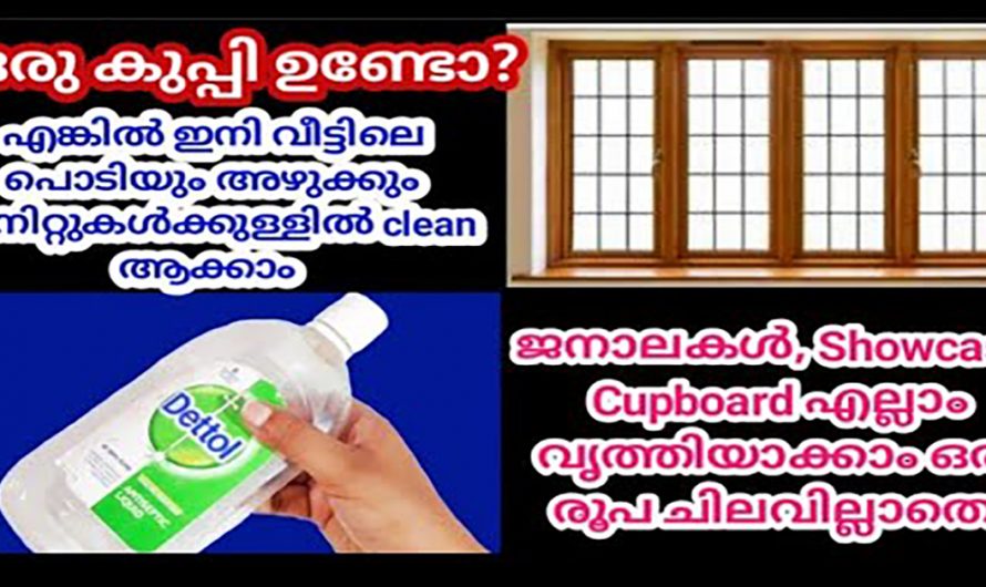 വീട്ടിലെ പൊടികളെ മുഴുവൻ തൂത്തു വൃത്തിയാക്കാൻ വെറുതെ കളയുന്ന ഒരു കുപ്പി മതി. ഇത് ആരും അറിയാതെ പോകല്ലേ.