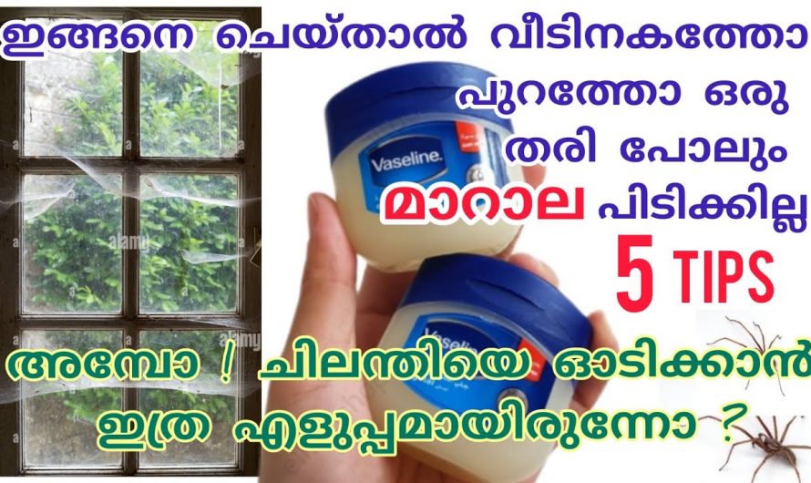 വീട്ടമ്മമാർക്ക് ഏറെ ഉപകരിക്കുന്ന ഈ സൂത്രപ്പണികൾ ഇനിയെങ്കിലും ആരും അറിയാതിരിക്കല്ലേ.