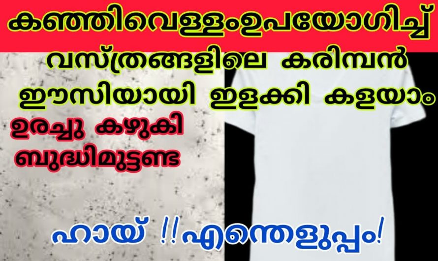 വസ്ത്രങ്ങളിലെ കരിമ്പനാണോ നിങ്ങളുടെ പ്രശ്നം? എങ്കിൽ ഒരു കാരണവശാലും ഇത് അറിയാതെ പോകല്ലേ.