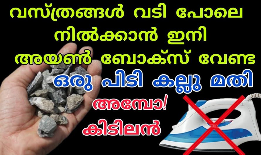 ഒരൊറ്റ പിടി കല്ലു മതി വസ്ത്രങ്ങൾ വടിപോലെ തേച്ച് എടുക്കാൻ. ഇത് നിങ്ങളെ ശരിക്കും ഞെട്ടിക്കും.