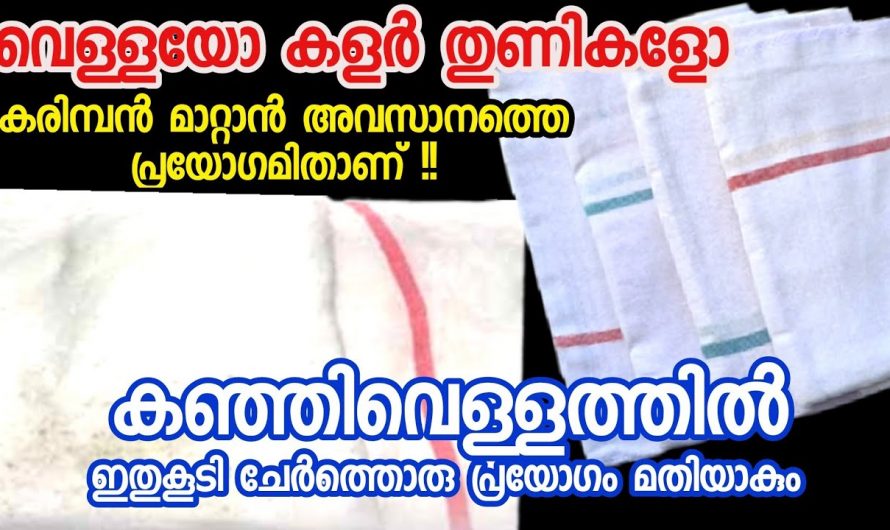 ഏതു നിറത്തിലുള്ള വസ്ത്രം ആയിക്കോട്ടെ കരിമ്പൻ പോകാൻ ഇനി ഇതു മതി. ഒരു കാരണവശാലും ഇത് അറിയാതിരിക്കല്ലേ.