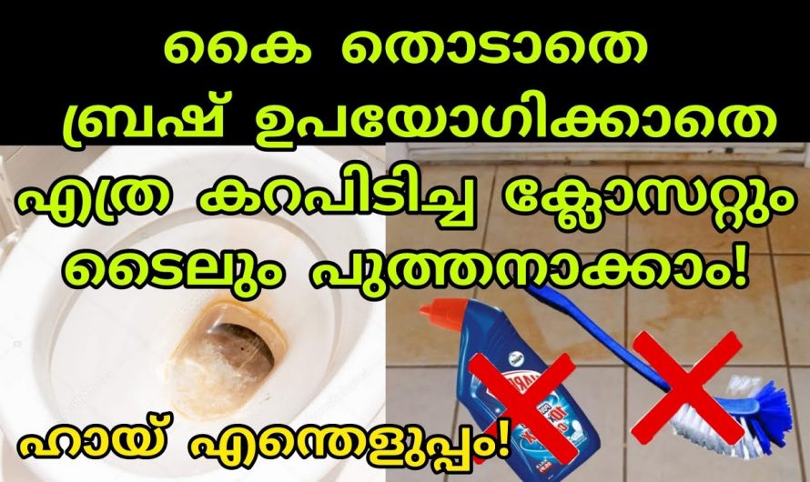 ബ്രഷ് ഉപയോഗിക്കാതെ തന്നെ ബാത്റൂമും ക്ലോസറ്റും കറകളഞ്ഞ് പുതിയത്പോലെയാക്കാം. ഇതാരും നിസ്സാരമാക്കല്ലേ.