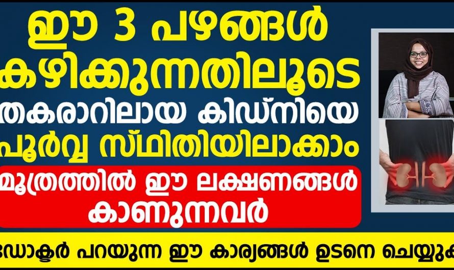 കിഡ്നിയുടെ ആരോഗ്യം നിലനിർത്താൻ ഈ പഴങ്ങൾ കഴിച്ചാൽ മതി. ഇതാരും ഇനിയെങ്കിലും തിരിച്ചറിയാതിരിക്കല്ലേ.