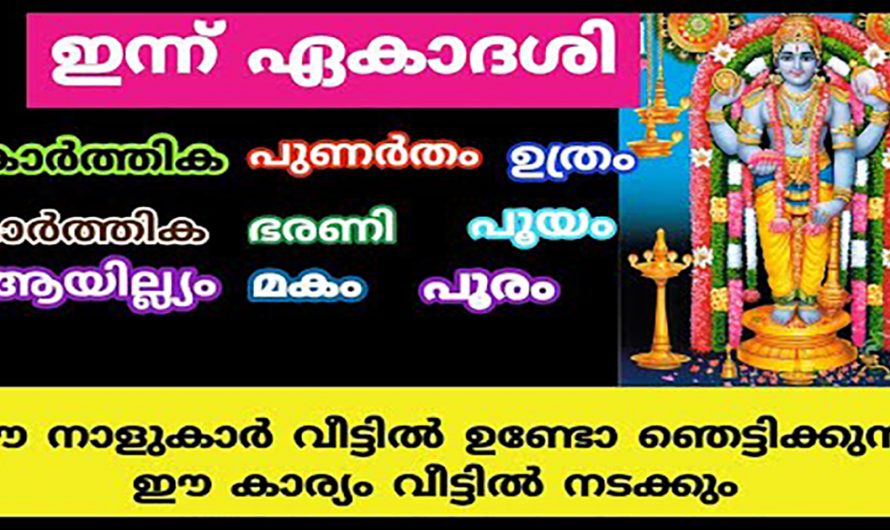 ഏകാദശി ദിവസം നിർബന്ധമായും ചെയ്യേണ്ട ഇത്തരം കാര്യങ്ങളെ ഇതുവരെയും തിരിച്ചറിയാതെ പോയല്ലോ.