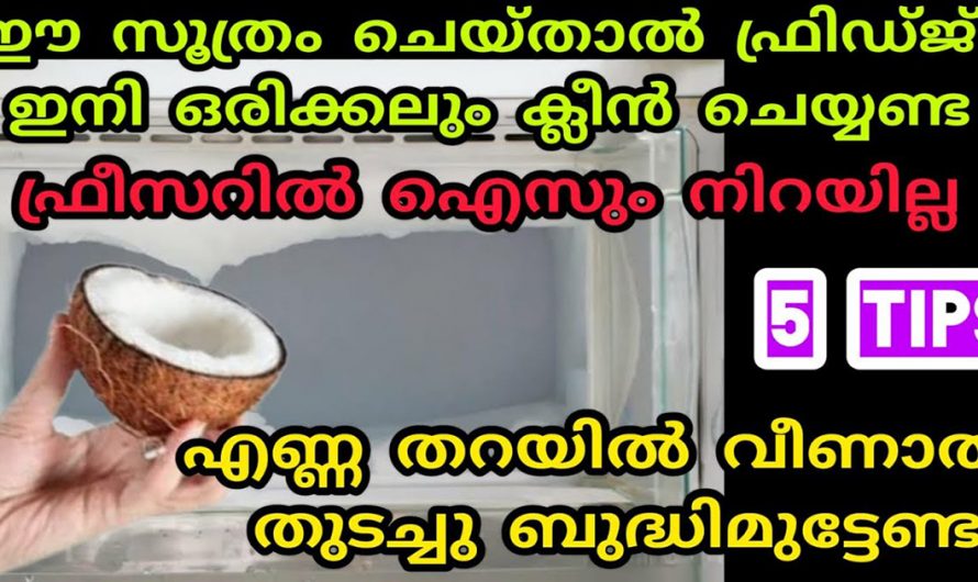 ഫ്രിഡ്ജ് എപ്പോഴും പുതുപുത്തൻ ആയിരിക്കാൻ ഇതിലും നല്ലൊരു മാർഗം വേറെയില്ല. ഇത് കേട്ടാൽ ഞെട്ടും.