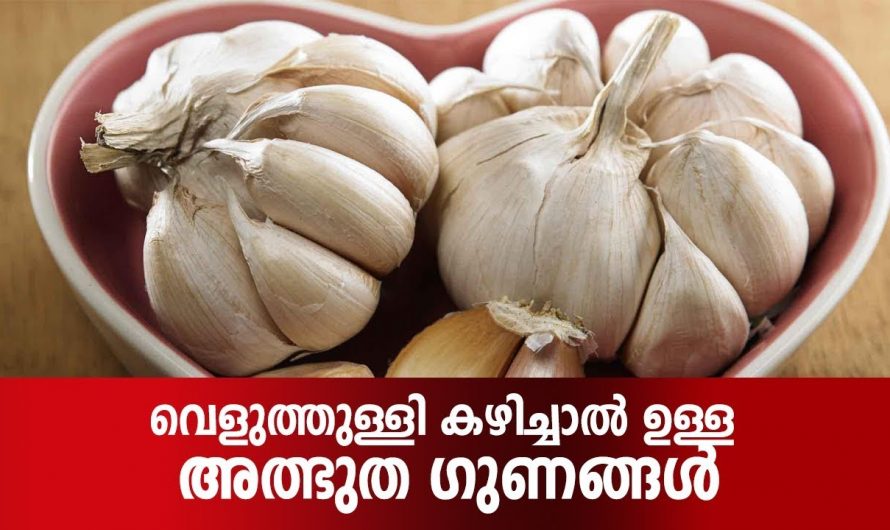 ദഹനം എളുപ്പത്തിൽ സാധ്യമാക്കുന്ന ഇതിനെക്കുറിച്ച് നിങ്ങൾക്കറിയാമോ? എങ്കിൽ കമന്റ് ചെയ്യൂ. ഗുണങ്ങൾ നിസ്സാരമാക്കല്ലേ.